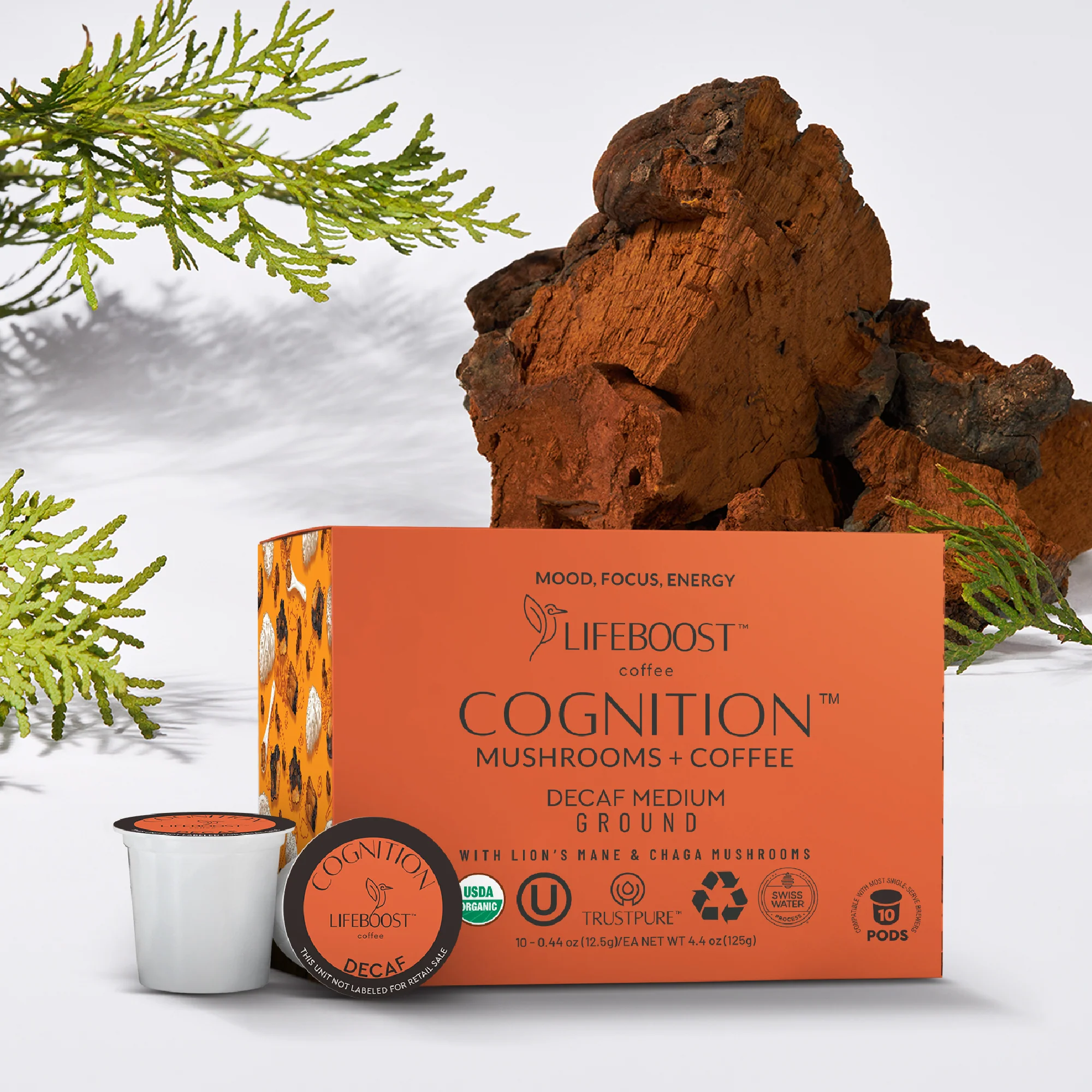 Decaf Cognition Mushroom Pods - Image 15