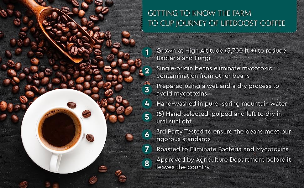 Grata Medium Roast - Image 2