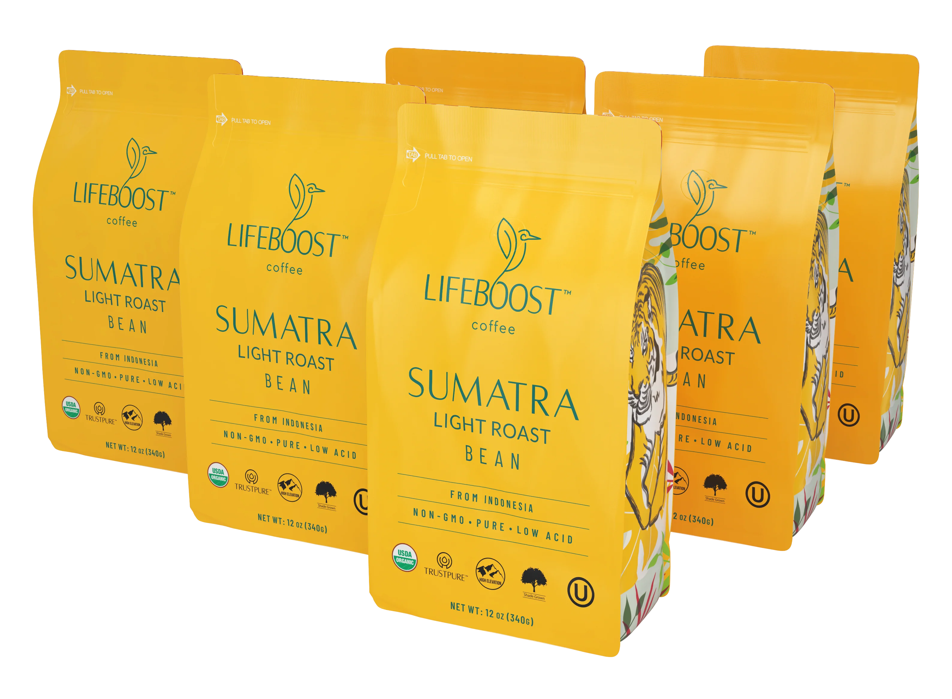 Lifeboost Indonesia - Image 15