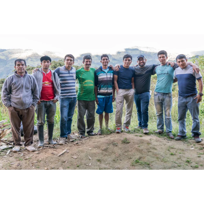 Organic Cajamarca Microlot - Image 7