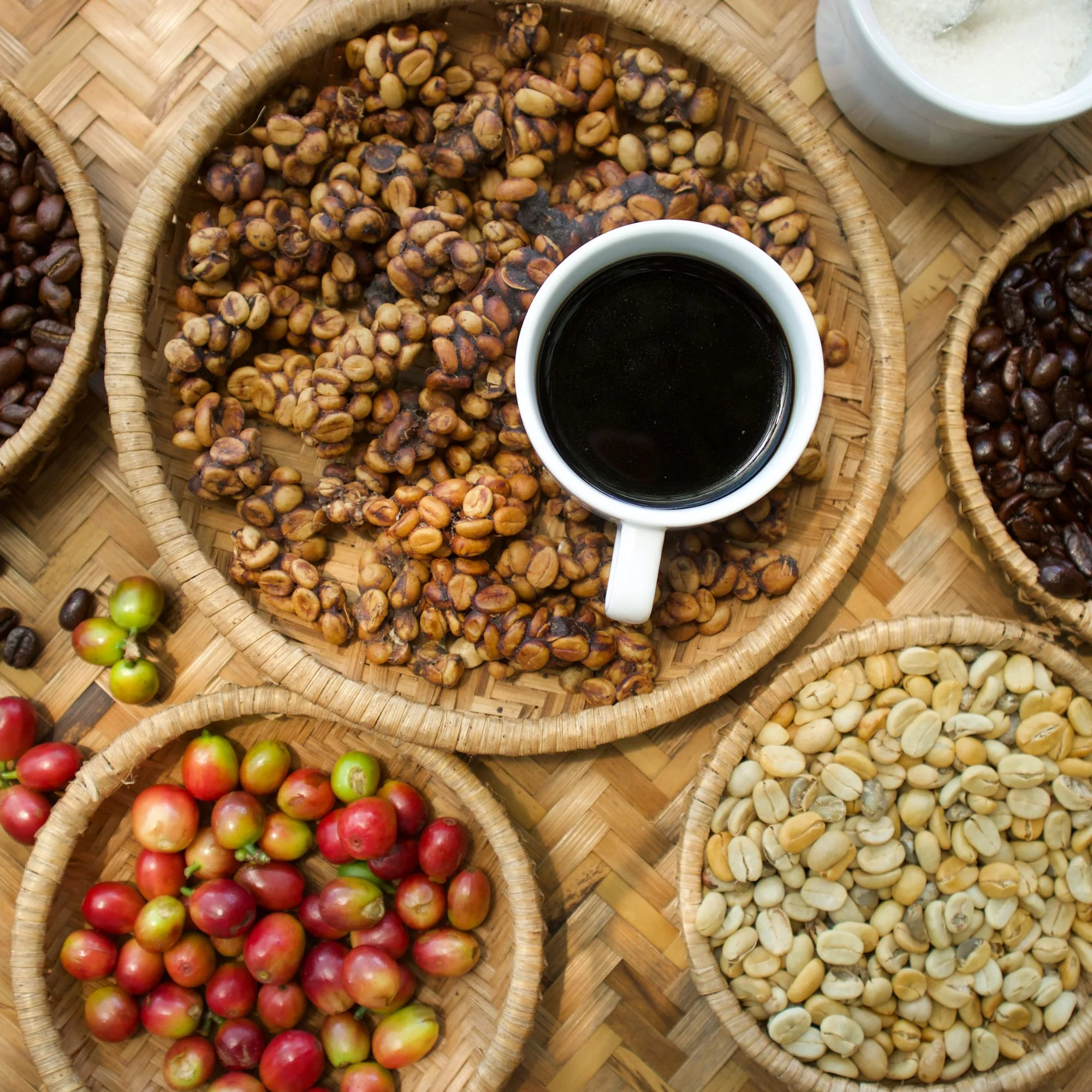 Gayo Pantan Musara Natural Coffee - Image 3