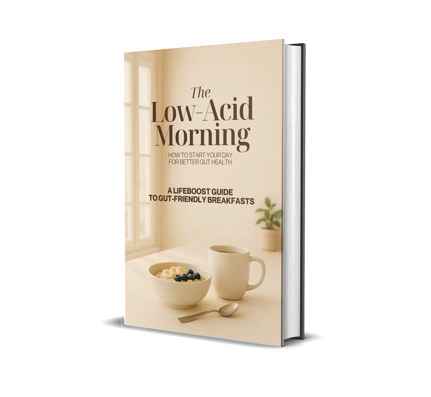 The Low Acid Morning eBook