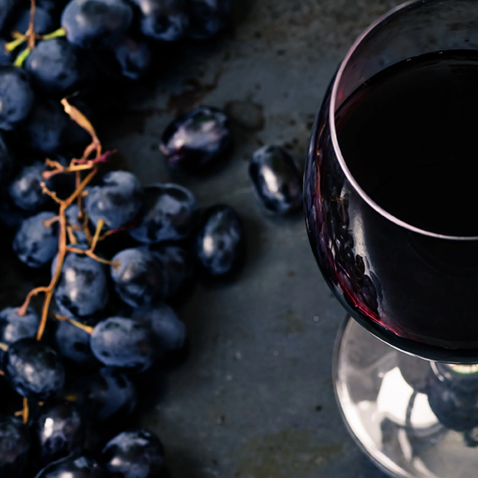 Wild Fermented Wine Infused Coffee - Image 9